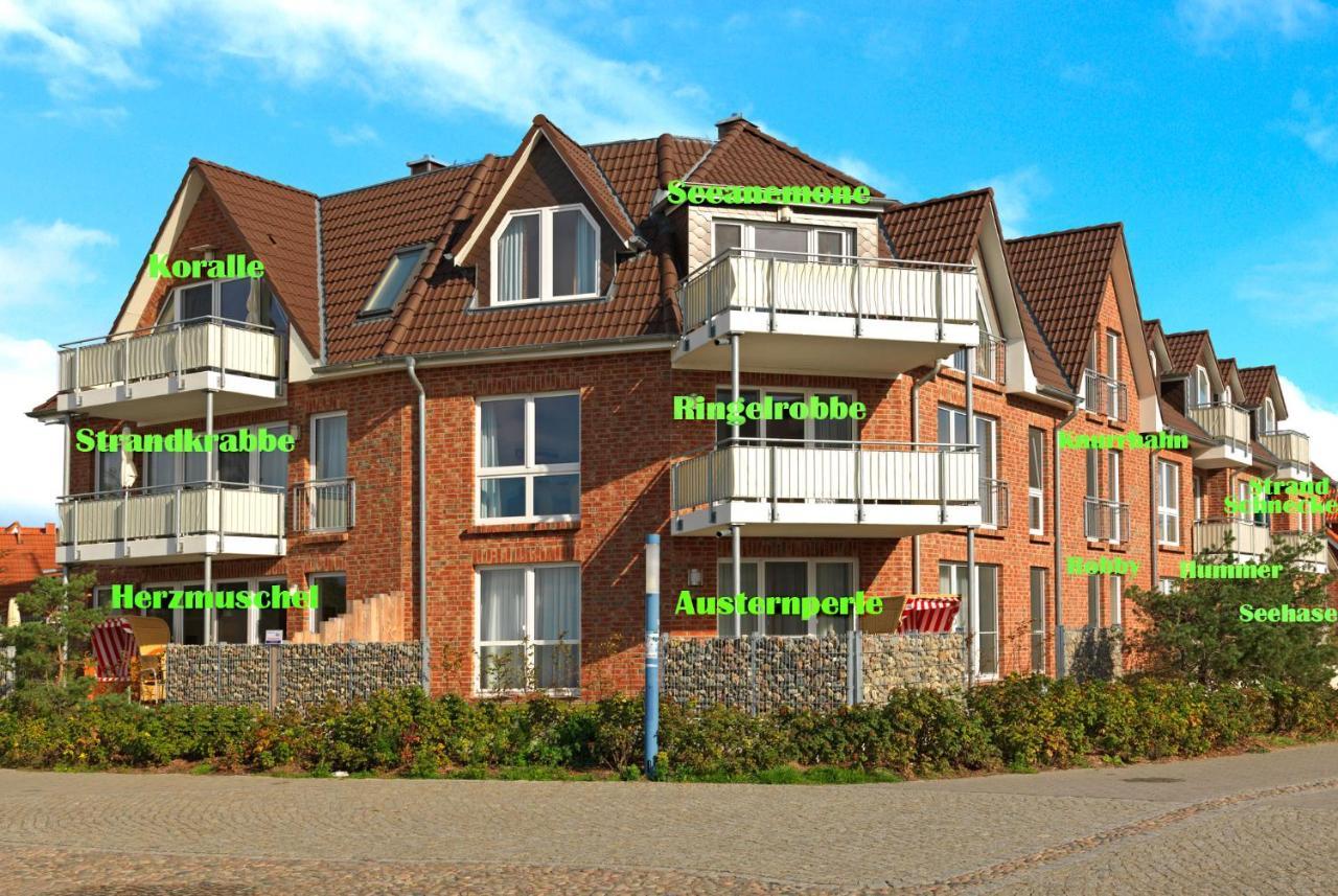 Haus Suedwester Hummer Insel Poel Ngoại thất bức ảnh